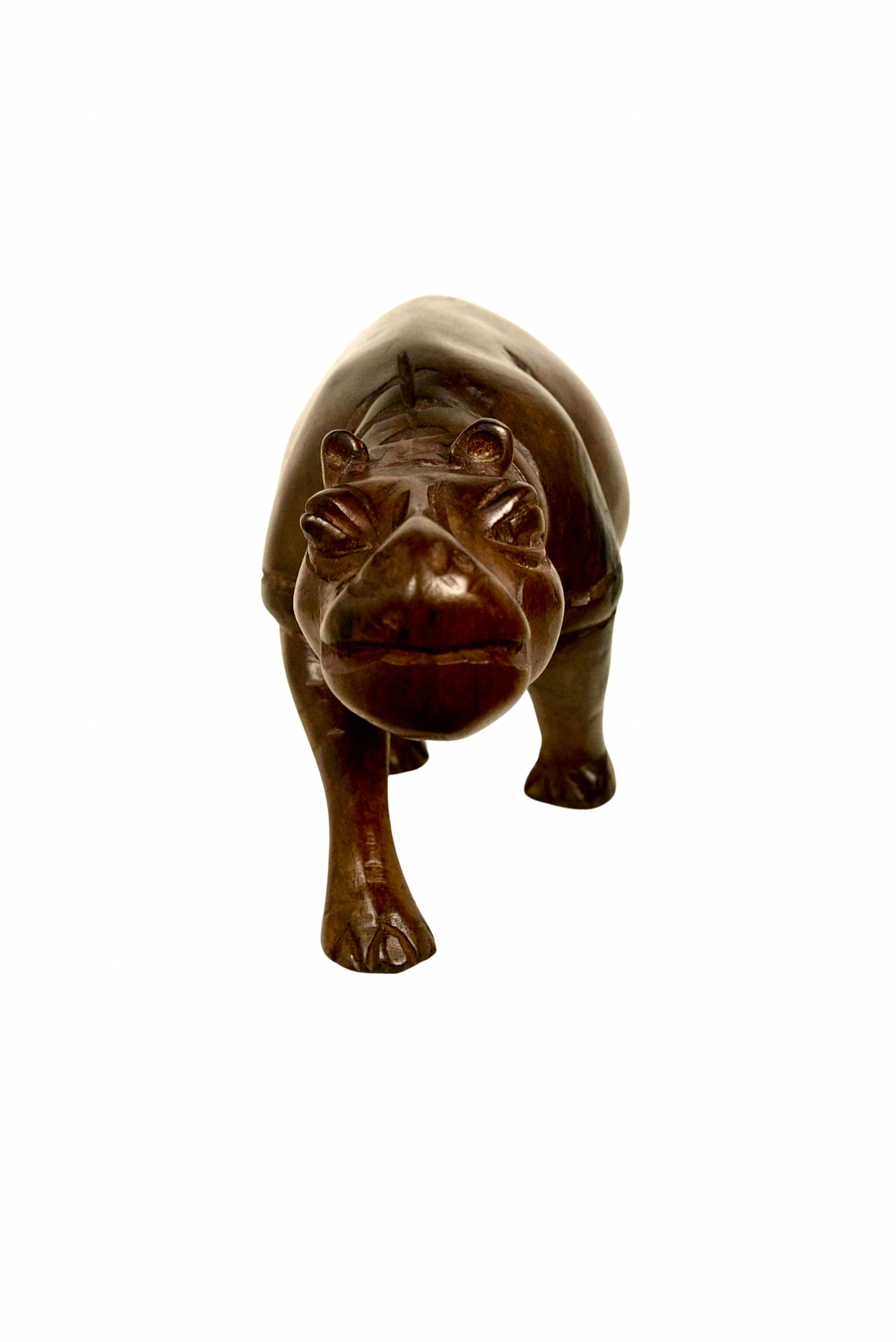 Hippopotamus